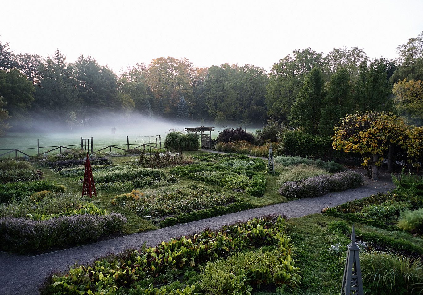A View of the Gardens Covered In Mist