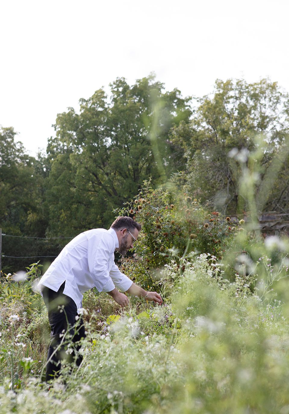 Chef Jason Bangerter Harvesting Fresh Herbs and Wild Flowers
