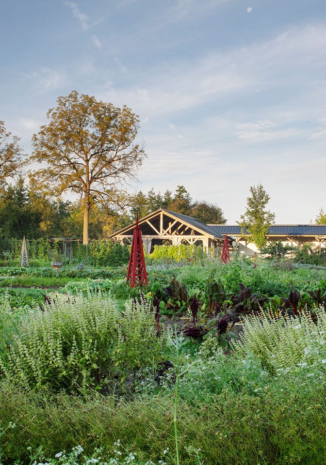 Alternate Angle of the Garden