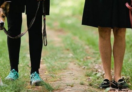 Two guests walking their dogs