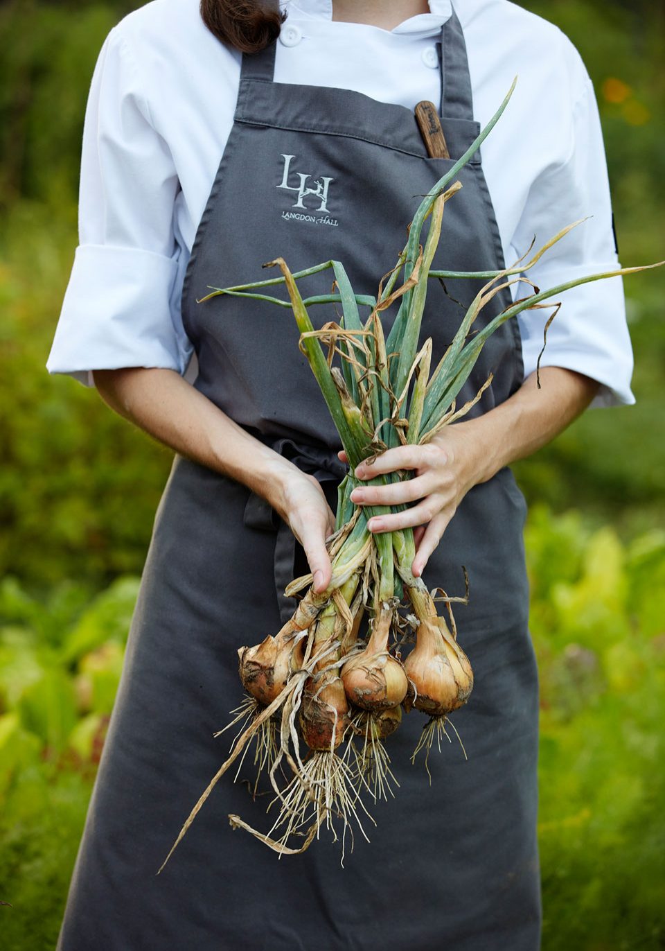 Staff Member Displaying Freshly Harvested Onions