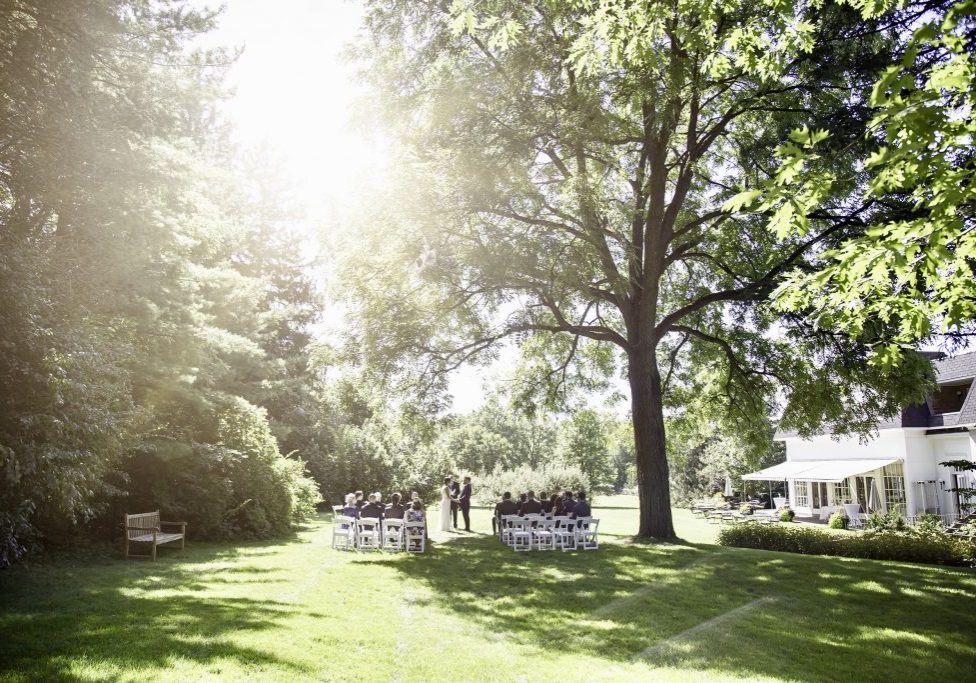 Wedding ceremony under a large tree